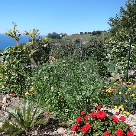 Casa Bellavista